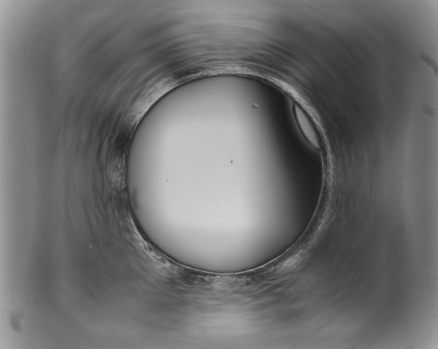 X0000099930905200806131400