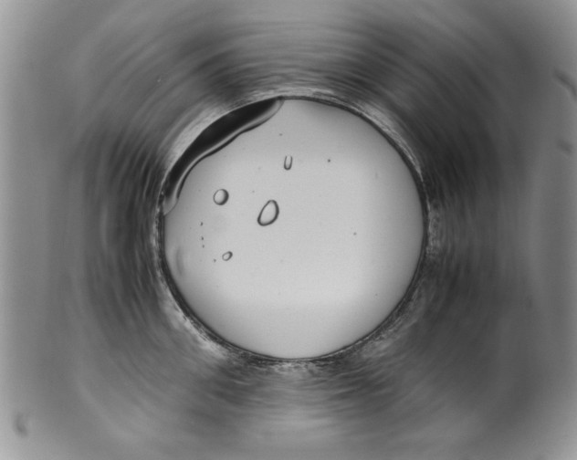 X0000099930906200806131400