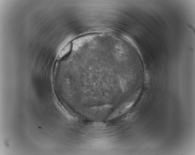 X0000099930907200806131400