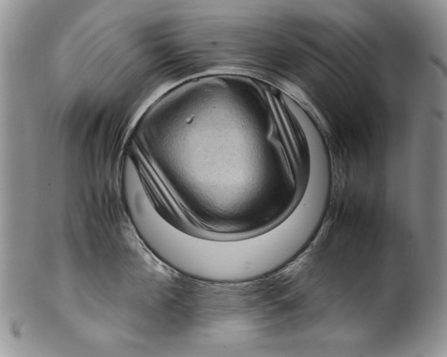 X0000099930908200806131400