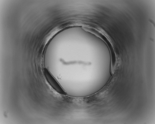 X0000099930909200806131359