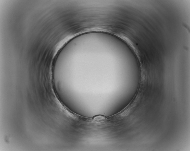 X0000099930910200806131359