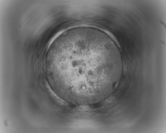 X0000099930911200806131359