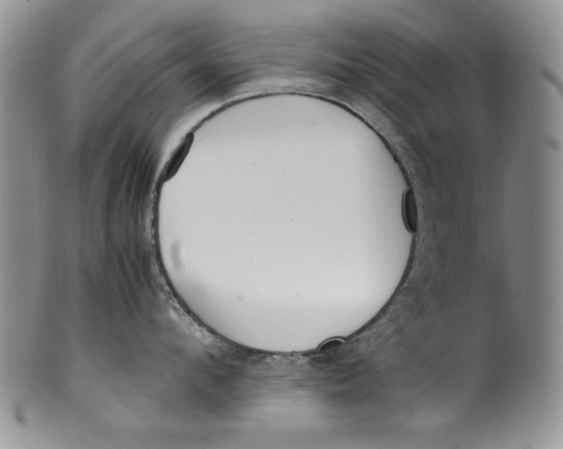 X0000099930912200806131359