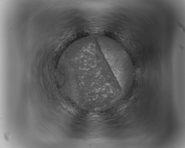 X0000099930913200806131359