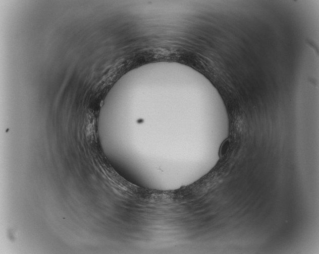 X0000099930914200806131359