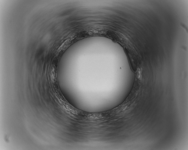 X0000099930915200806131359