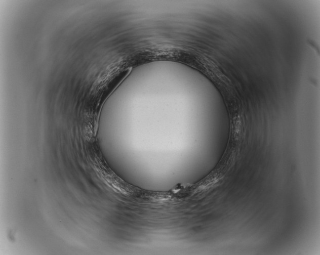 X0000099930916200806131359