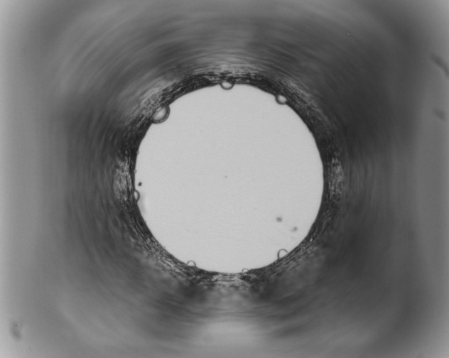 X0000099930918200806131359