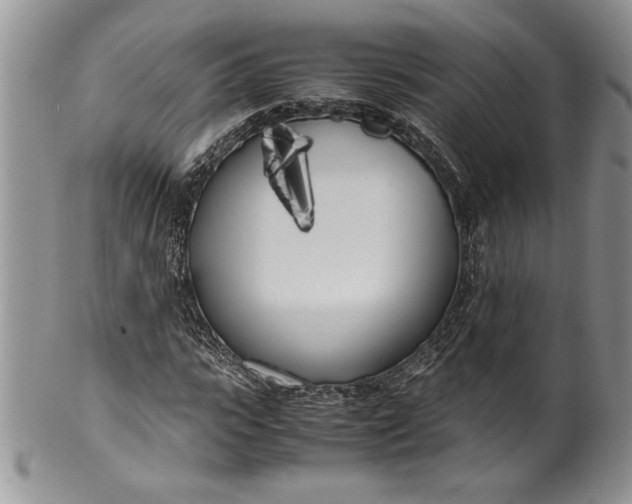 X0000099930919200806131359