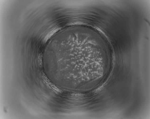 X0000099930921200806131359