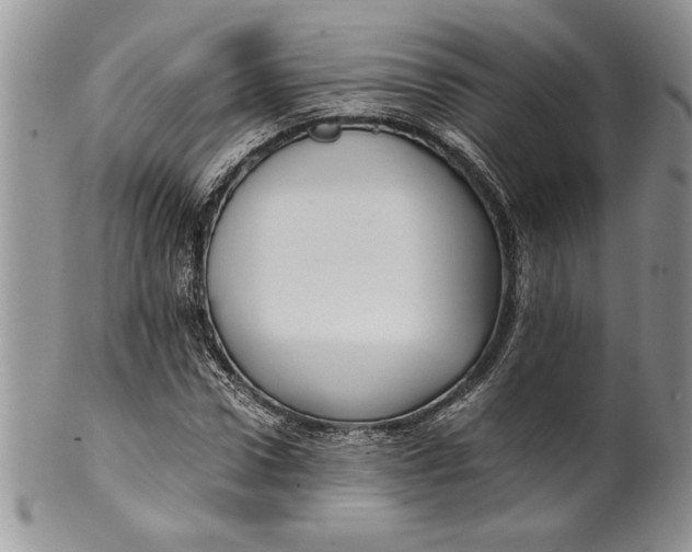 X0000099930922200806131359