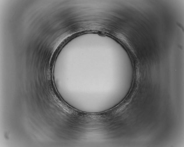 X0000099930924200806131359