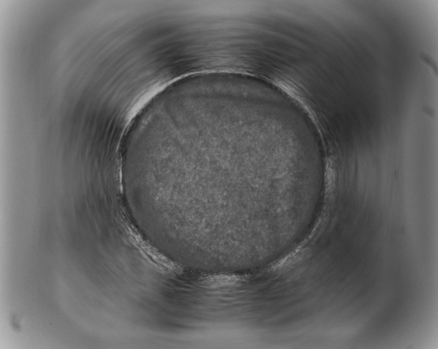 X0000099930925200806131359