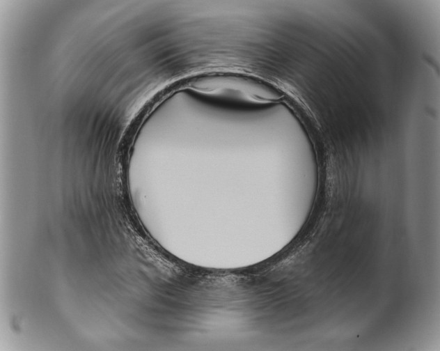 X0000099930926200806131359