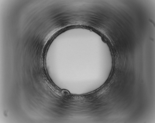 X0000099930927200806131359