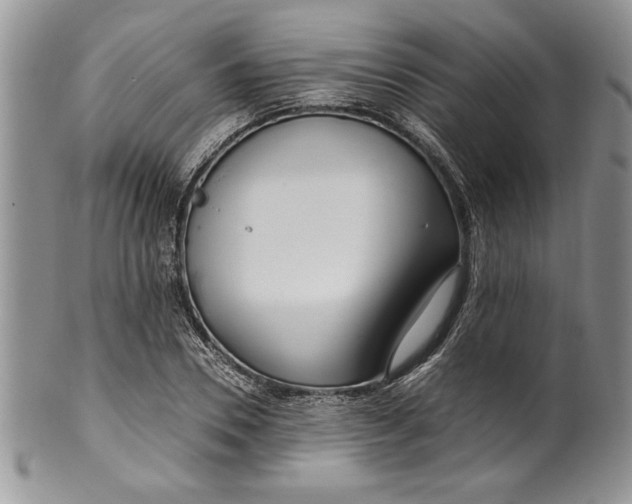 X0000099930930200806131359