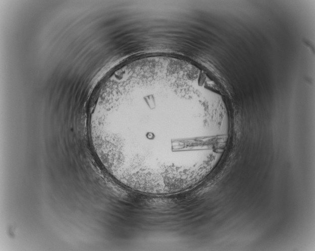 X0000099930933200806131359