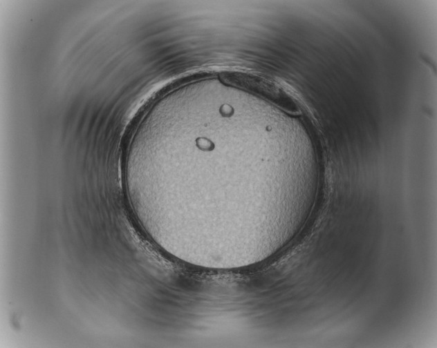 X0000099930934200806131359