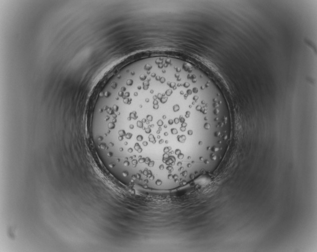 X0000099930935200806131359