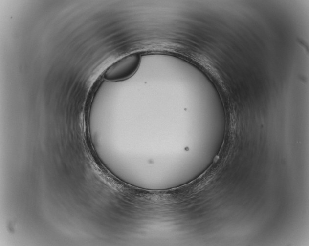 X0000099930936200806131359