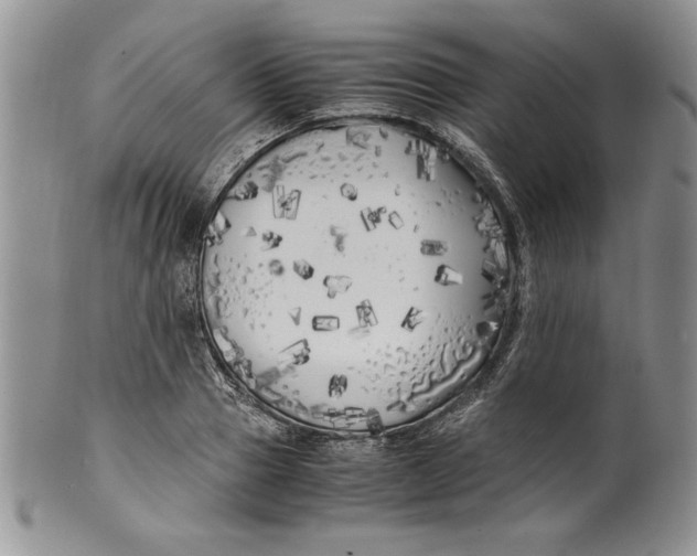 X0000099930937200806131359