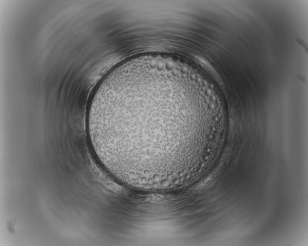 X0000099930938200806131359