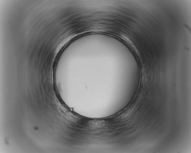 X0000099930939200806131359