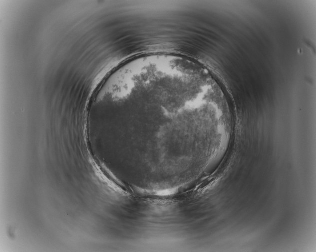 X0000099930941200806131359