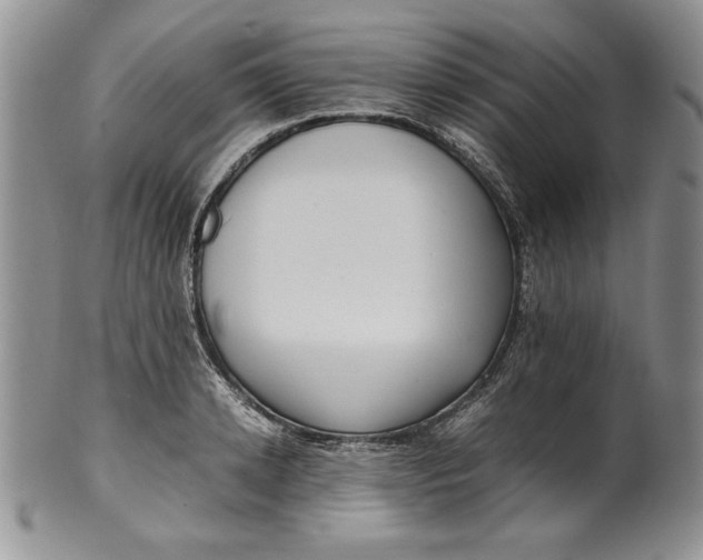 X0000099930942200806131359