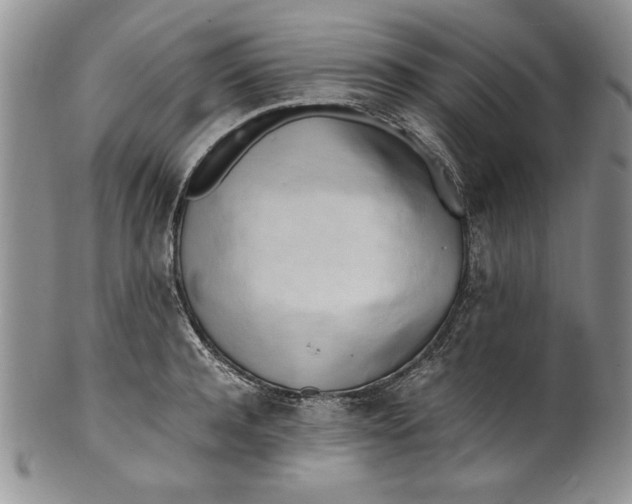 X0000099930944200806131359