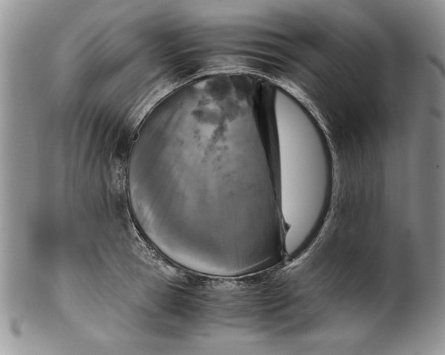 X0000099930945200806131359