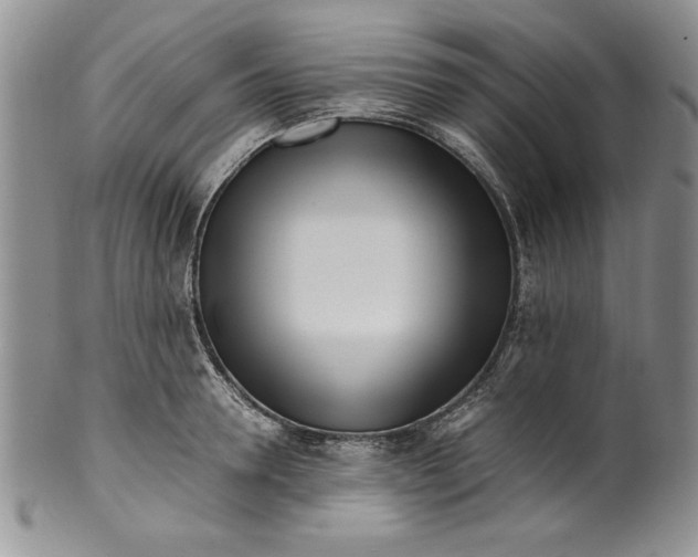 X0000099930946200806131359