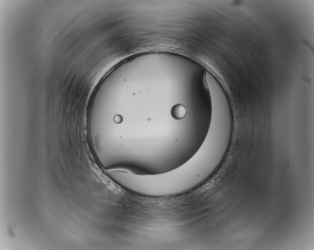 X0000099930948200806131359