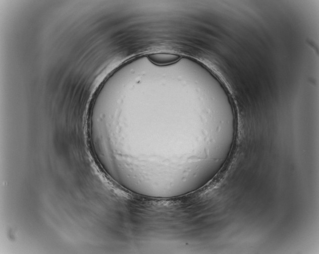 X0000099930949200806131359