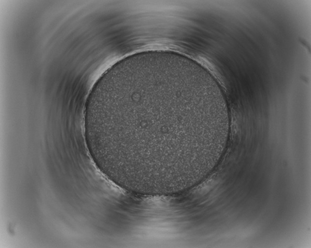 X0000099930950200806131359