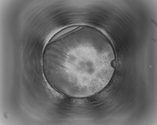 X0000099930951200806131359