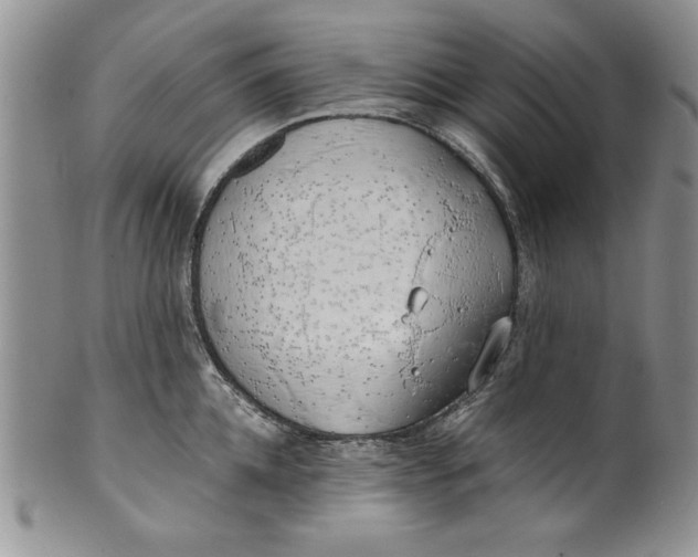 X0000099930952200806131359