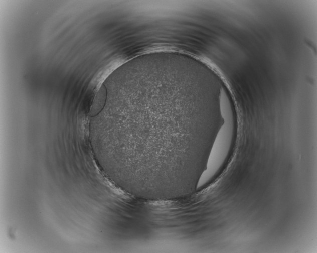 X0000099930953200806131359