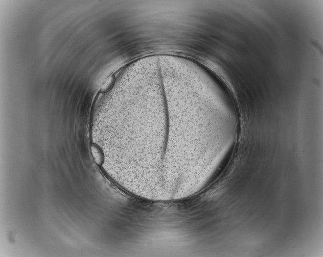 X0000099930954200806131359