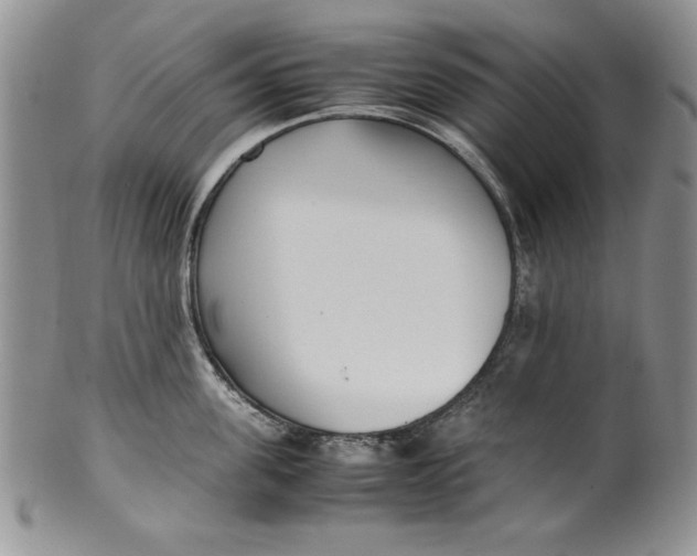 X0000099930955200806131359