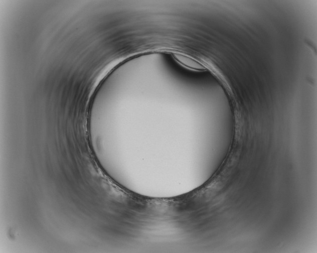 X0000099930956200806131359