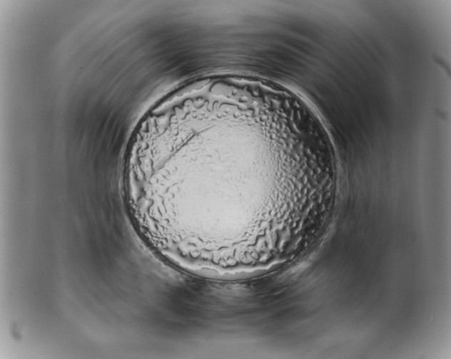 X0000099930957200806131359