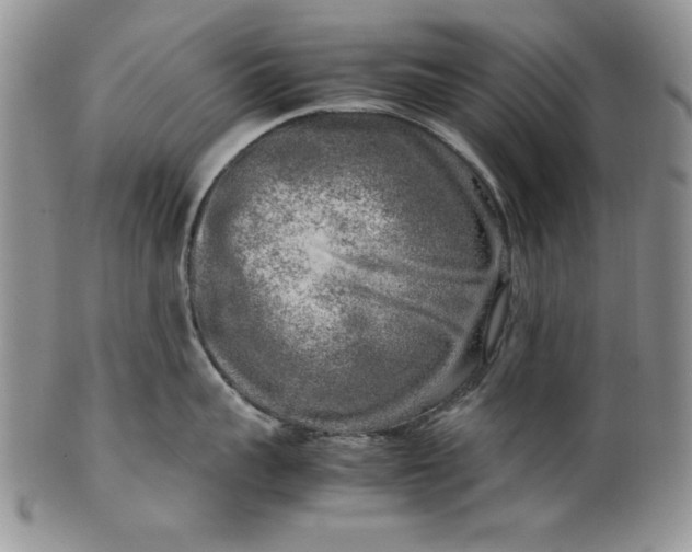 X0000099930959200806131359