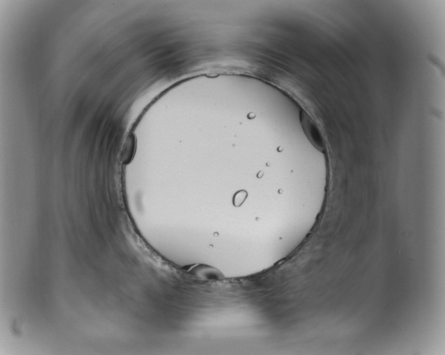 X0000099930960200806131359