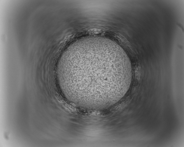 X0000099930961200806131359