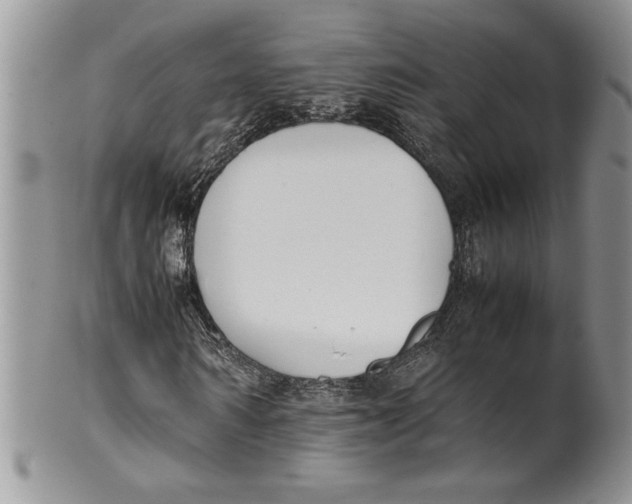 X0000099930962200806131359