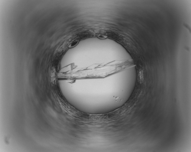 X0000099930963200806131359