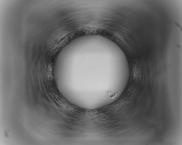 X0000099930964200806131359