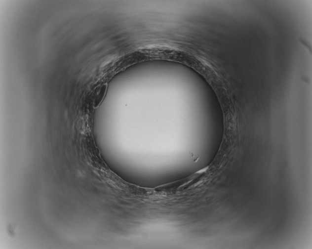 X0000099930965200806131359